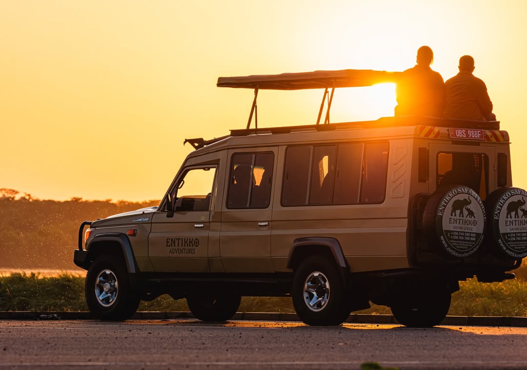 The Untold Safari Brunch